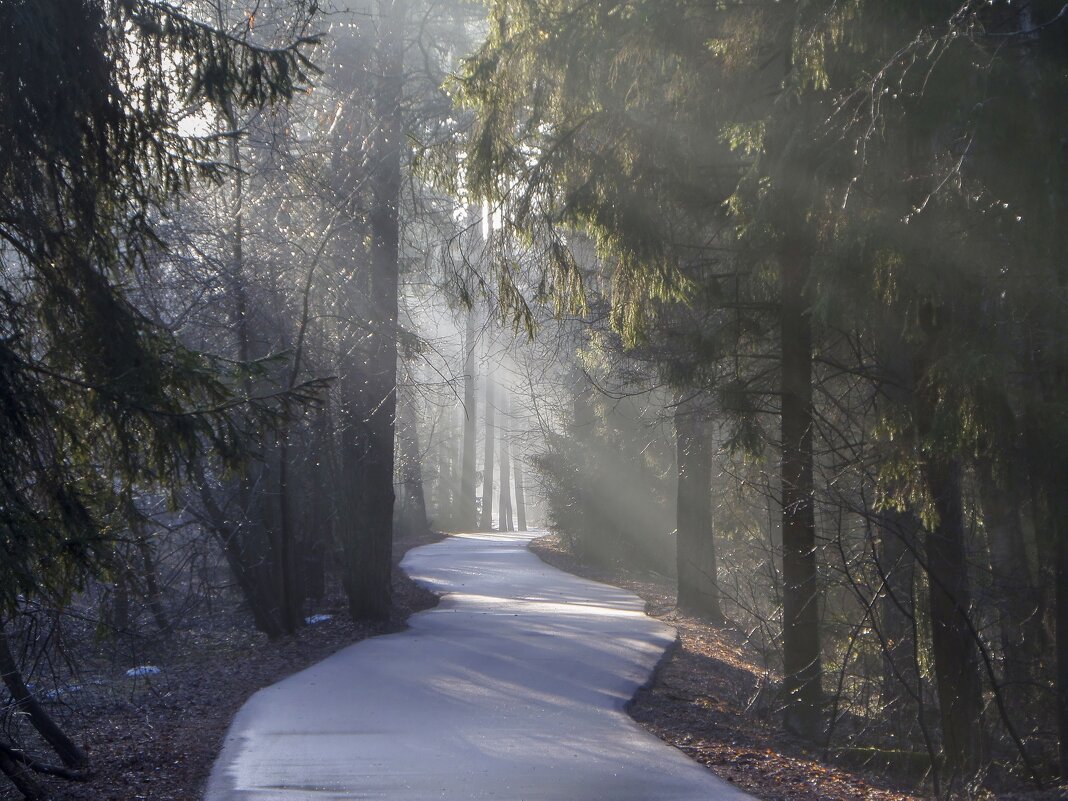 Весеннее утро........ - Юрий Цыплятников