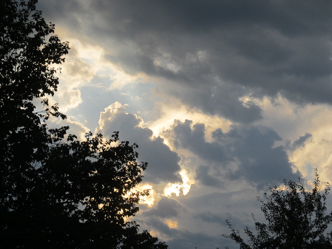 вечернее - Елена Шаламова