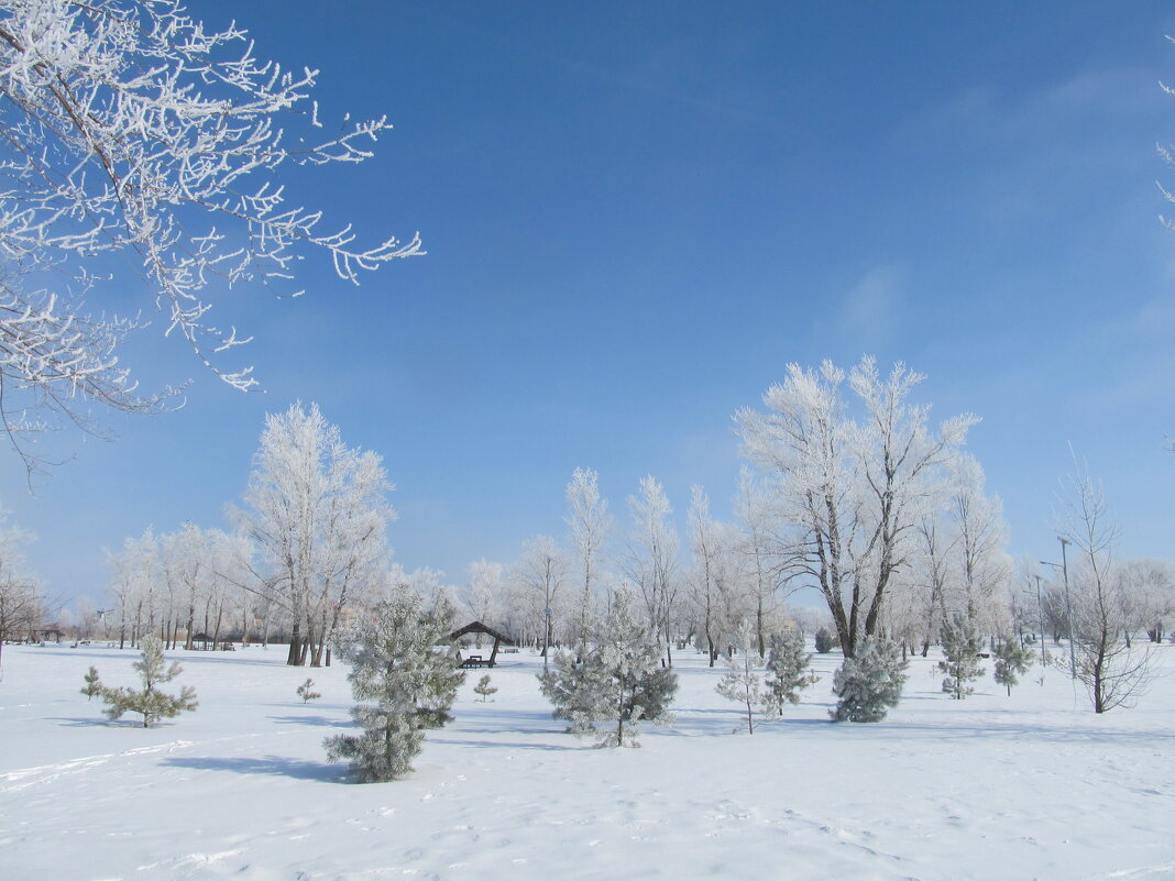 Пейзаж начала марта - Елена Шаламова