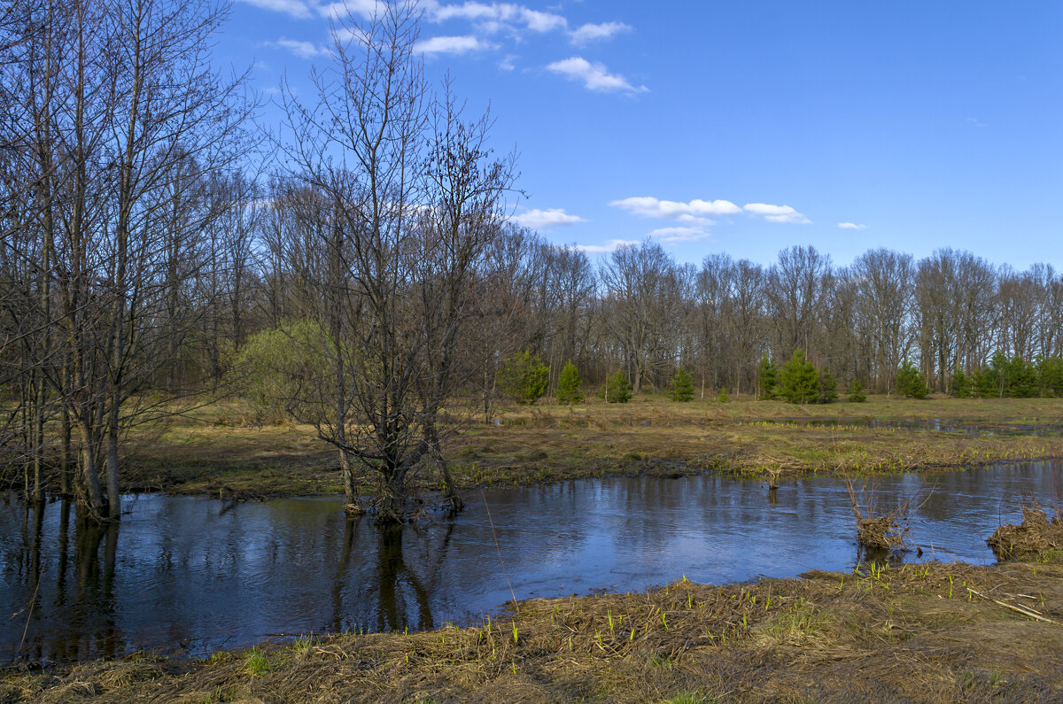 Протока. Середина апреля - Сергей Цветков