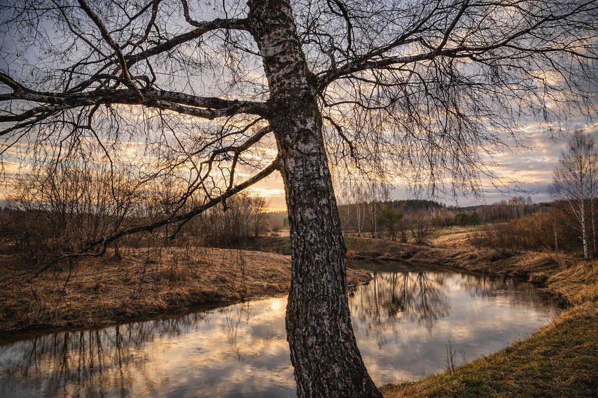 Река Молокча - Денис Бочкарёв