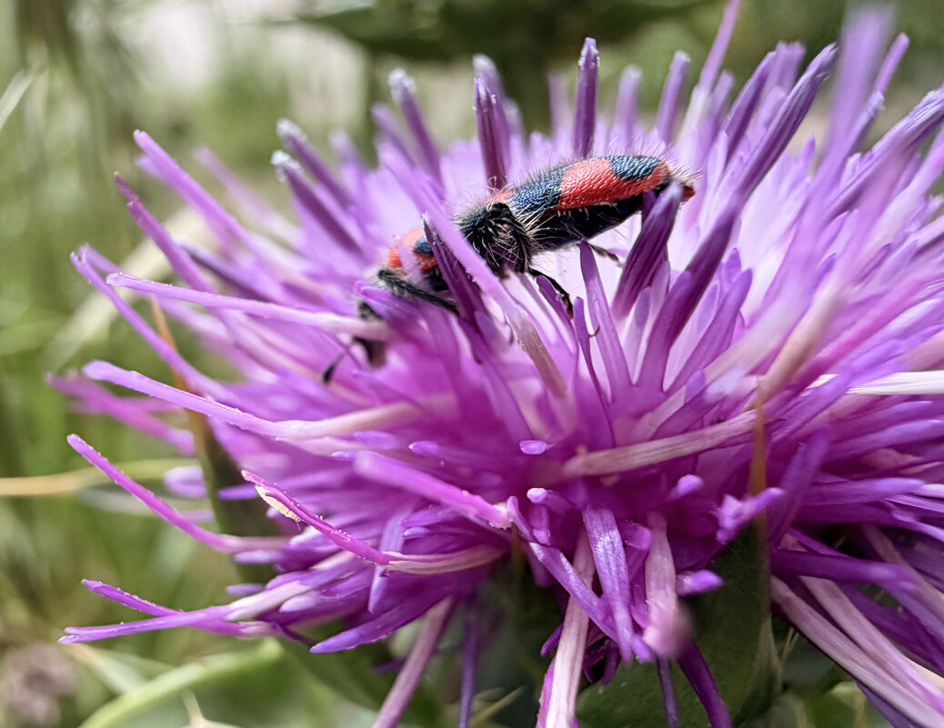 Заблудившися автобус - Александр Деревяшкин