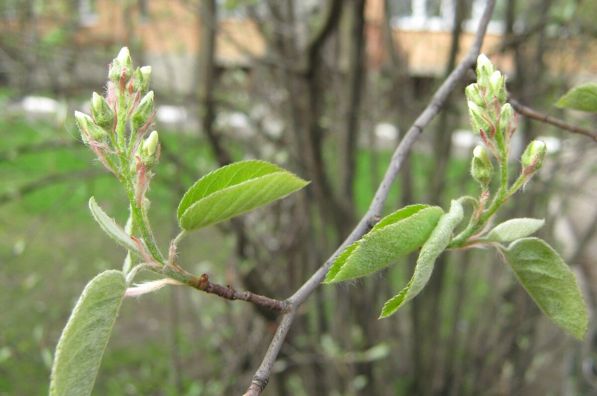 Весеннее - Елена Семигина