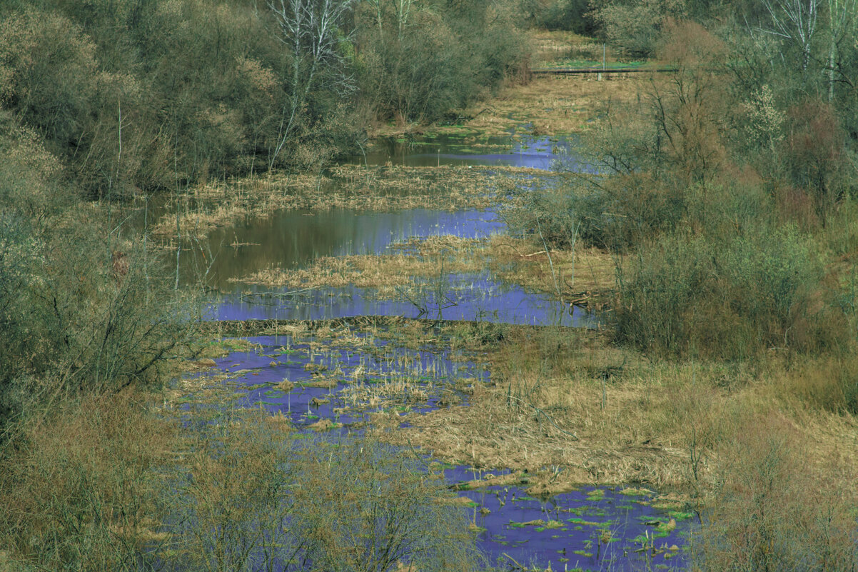 Уже ВЕСНА - Речка Подборенка - Владимир Максимов