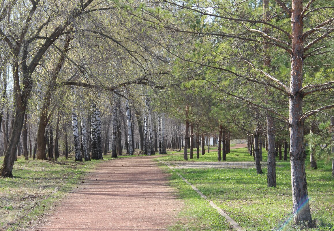 в парке - Венера Чуйкова