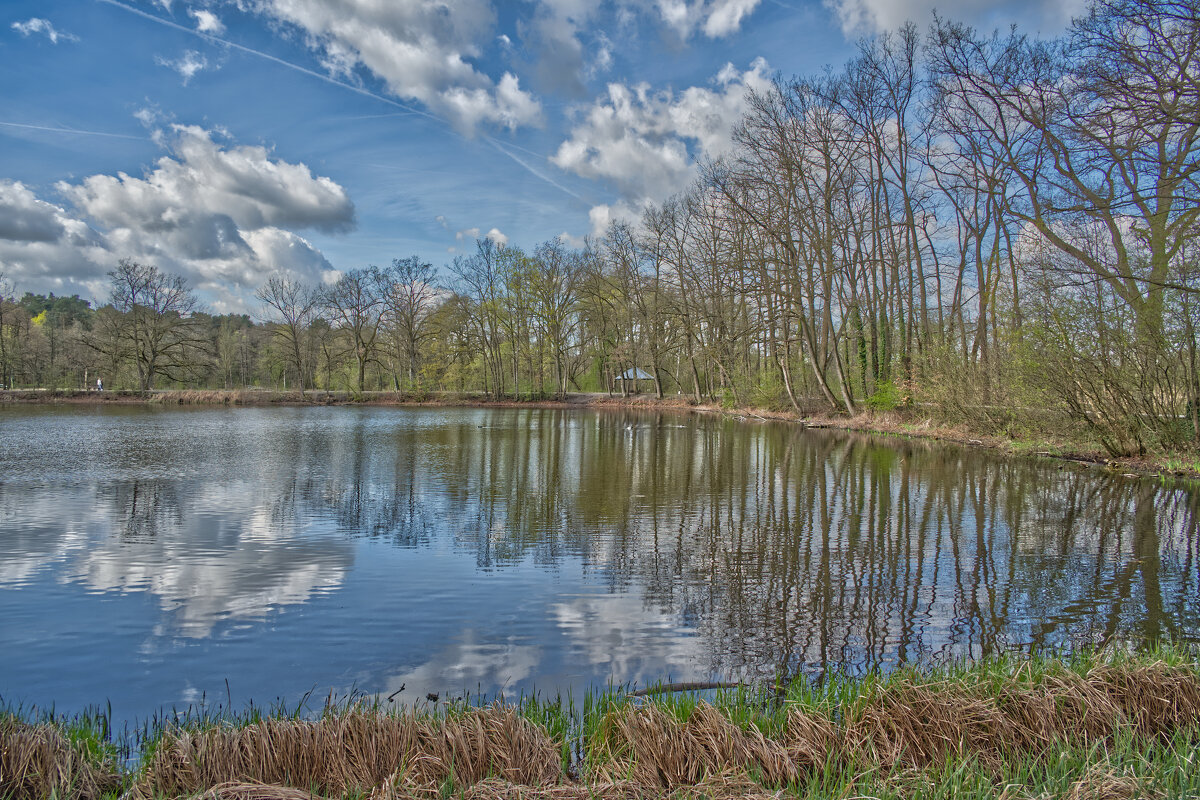 Пруд - Jakob Dick