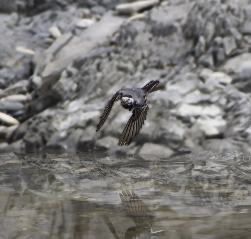 *** - Александр. AVG100 ---