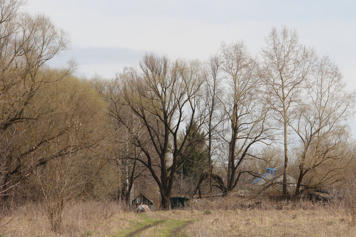 Под небом голубым... - Елена Минина