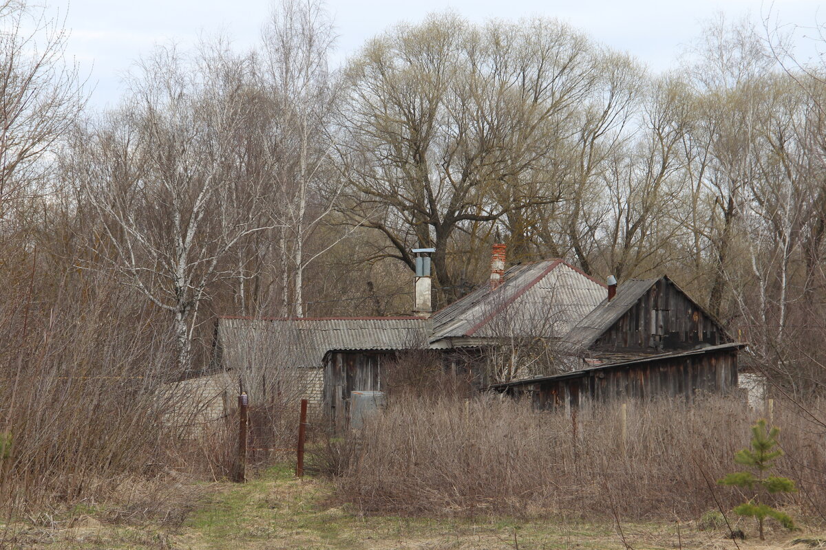 Под небом голубым... - Елена Минина