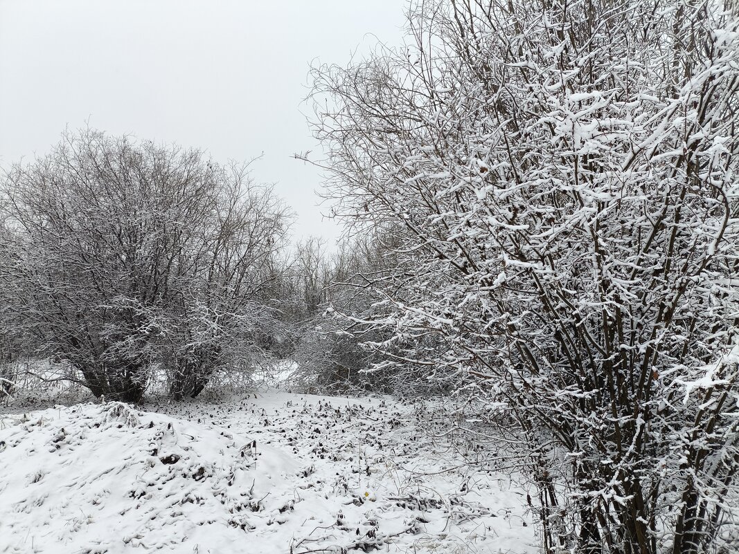 Снегопад - Anna Ivanova