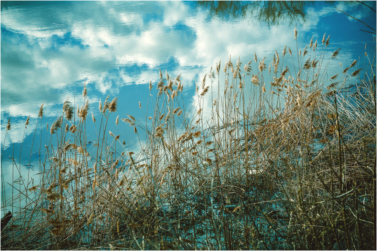 Суздаль. Апрель - Вячеслав Владимирович