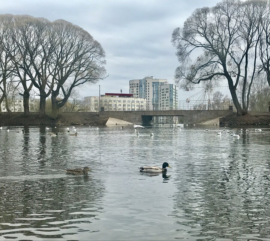 Апрельский воздух - Татьяна 