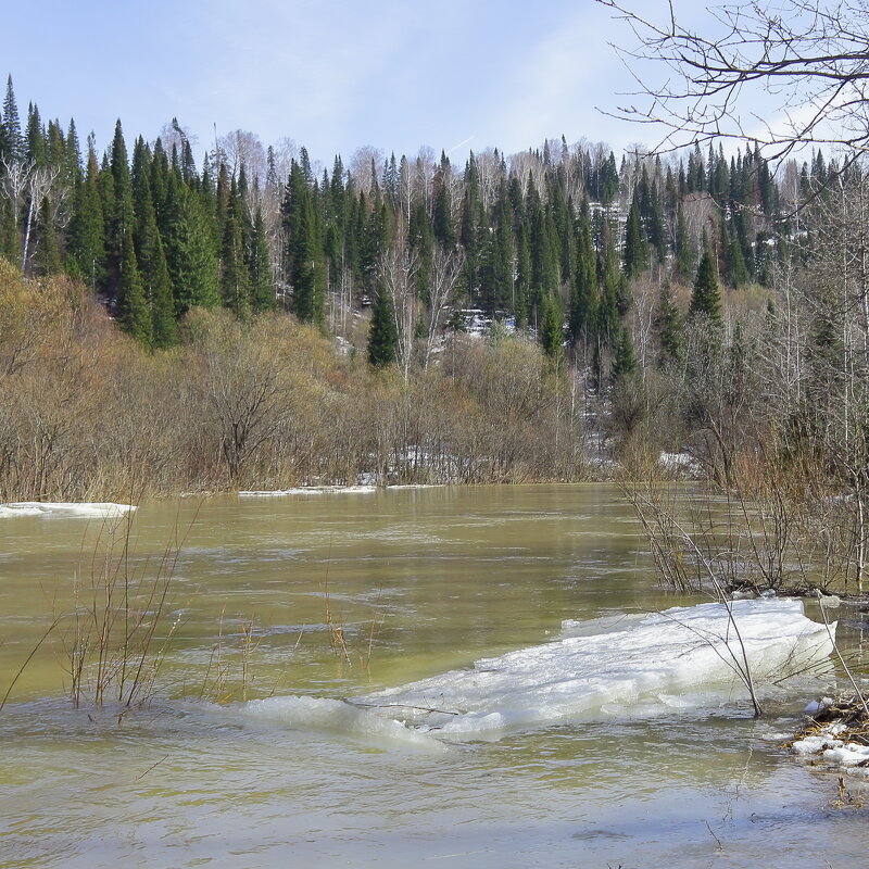 Отправились льдины в реку Томь - Нина северянка