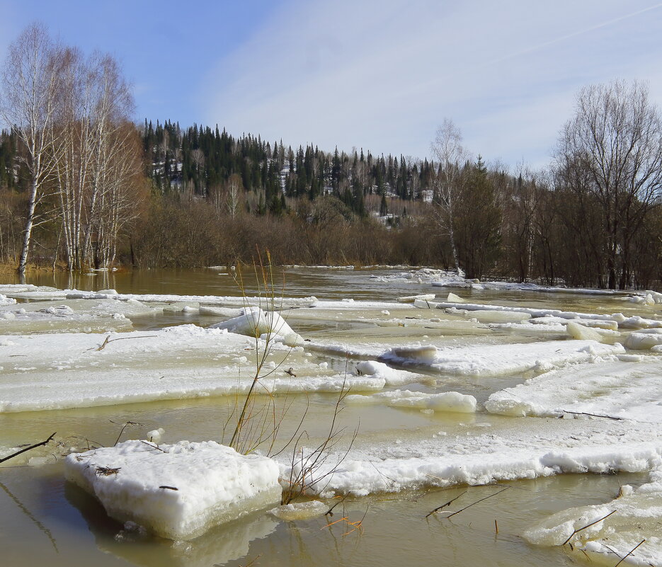 Таежная река сбрасывает лед - Нина северянка