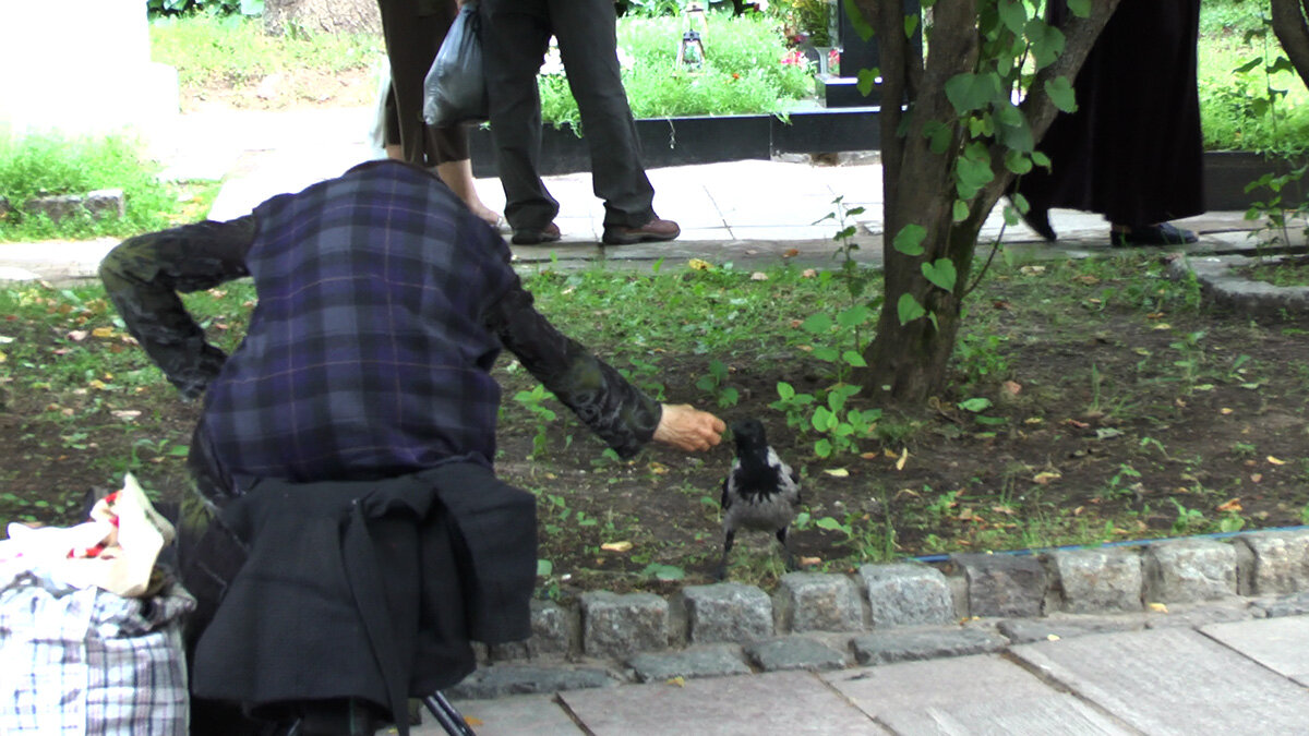 В Троице-Сергиевой лавре. - Игорь Олегович Кравченко