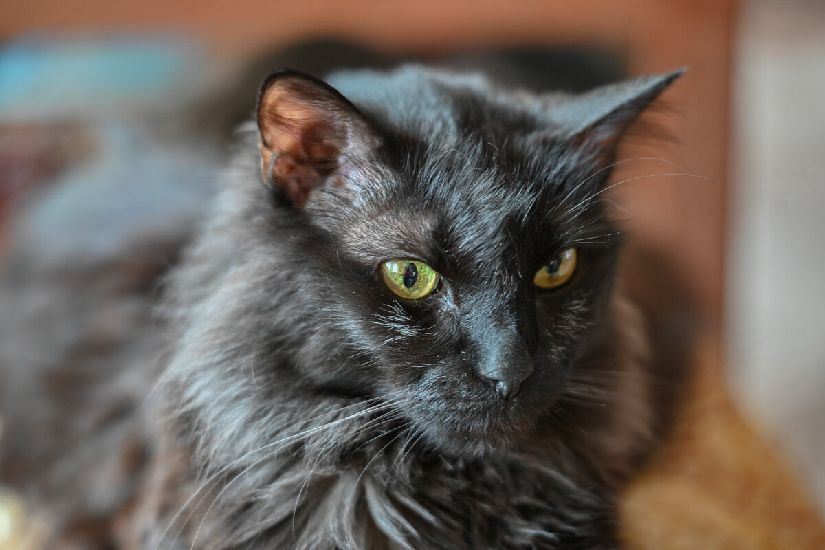 Мася - Вадим 