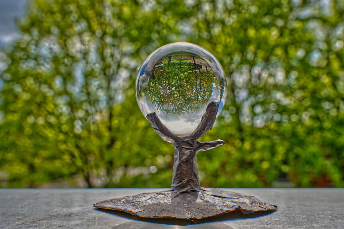 (°-°) - Jakob Dick