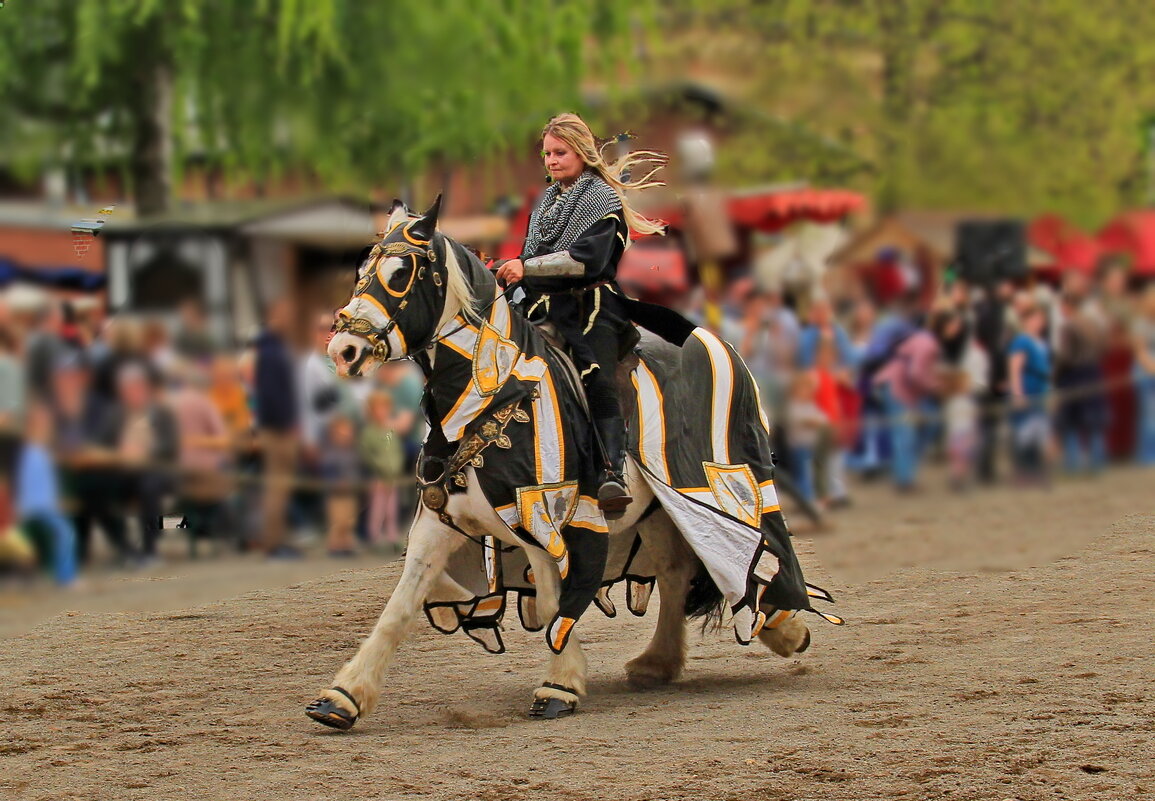 Всадница - Андрей K.