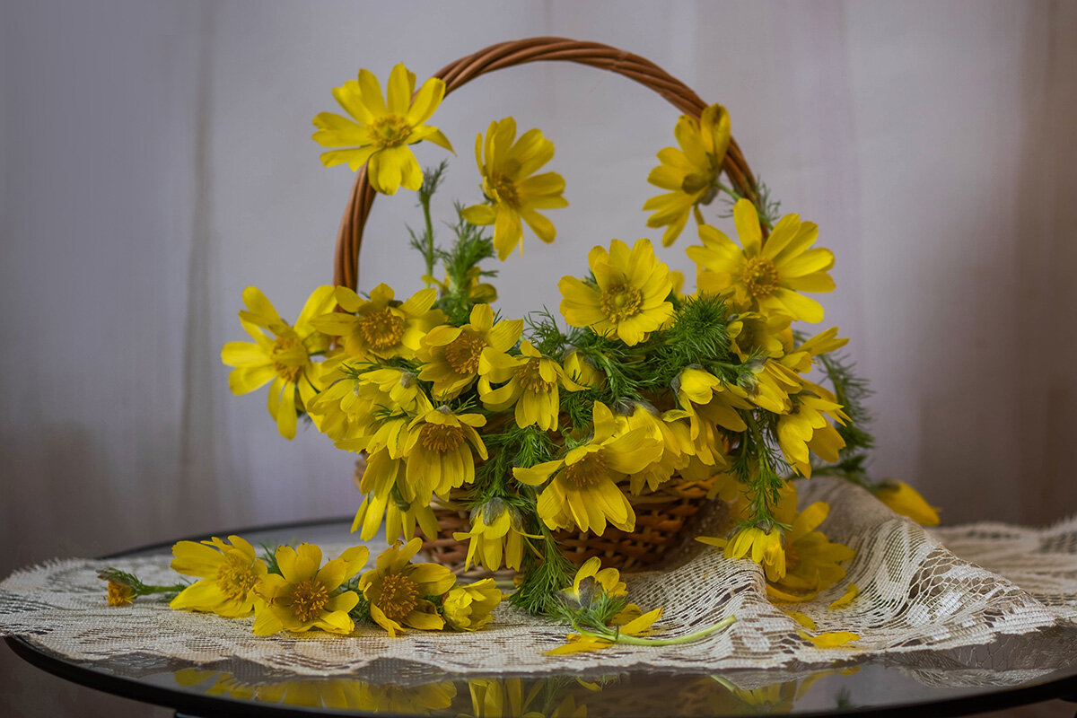 Адонис - Елена Ахромеева