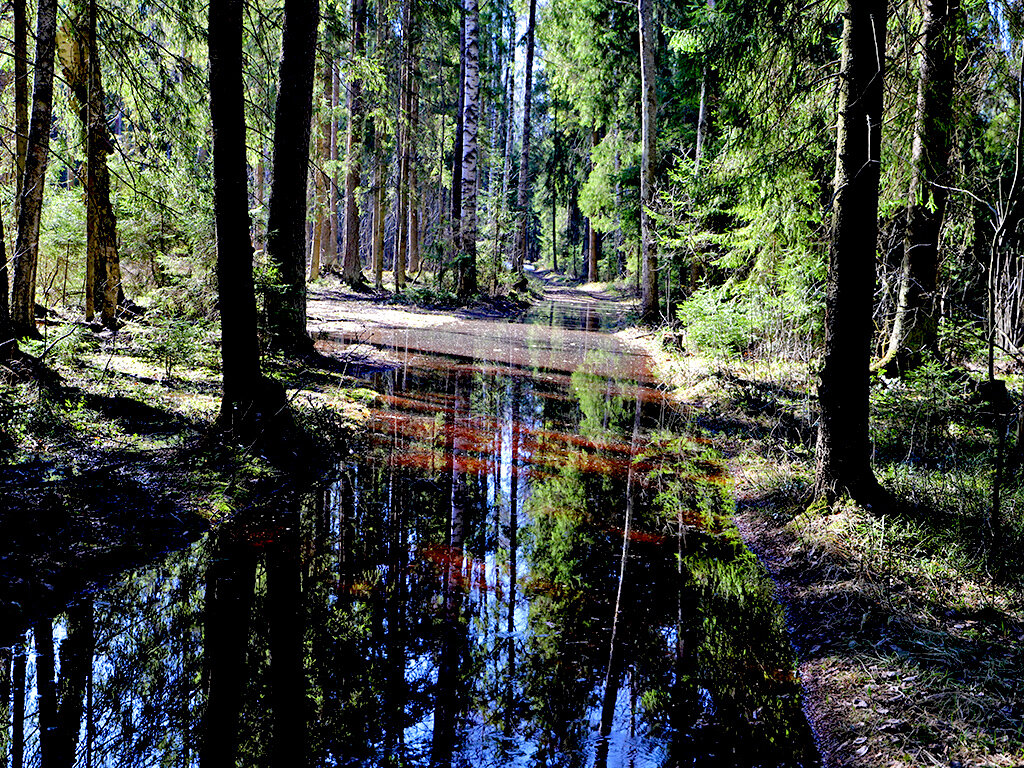 Апрель - краснов юрий 