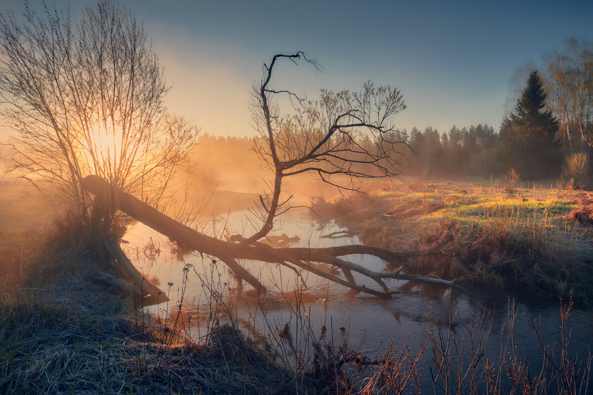 В «короне» ... - Roman Lunin