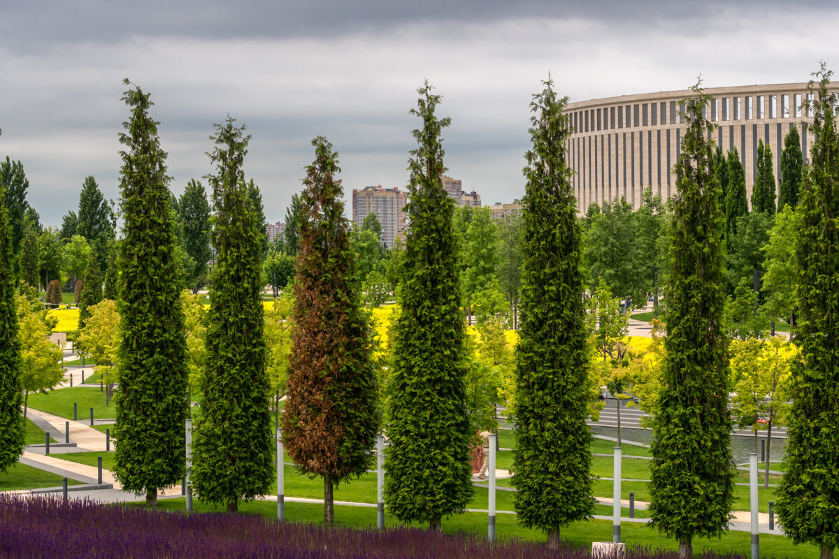 Парк Галицкого в городе Краснодар - Игорь Сикорский