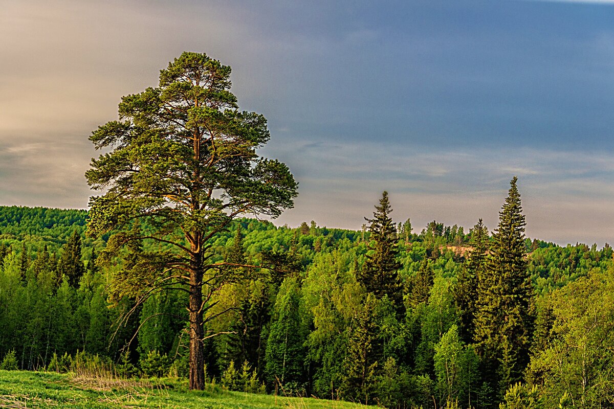 Зелёный маяк - Владимир Кириченко