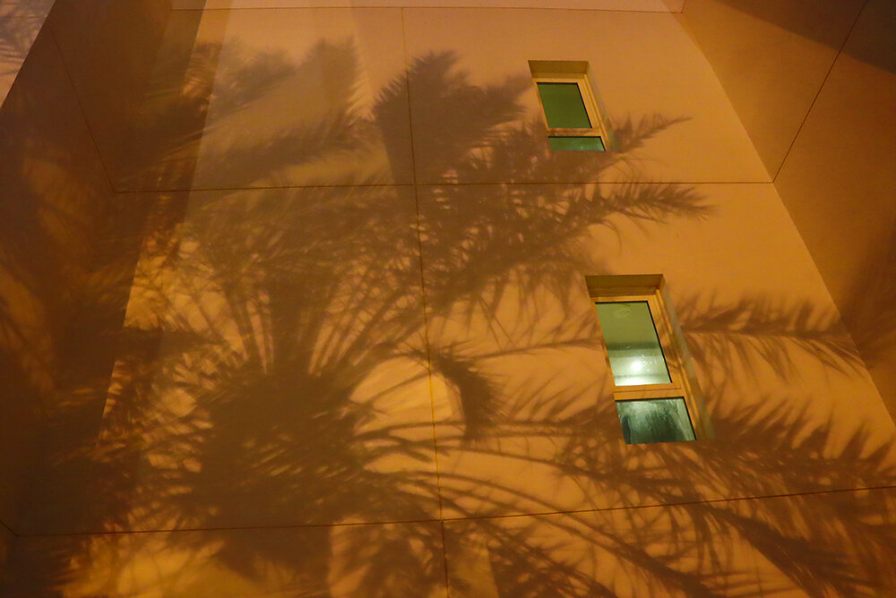 Тени, пальмы, окна... - Галина Ильясова