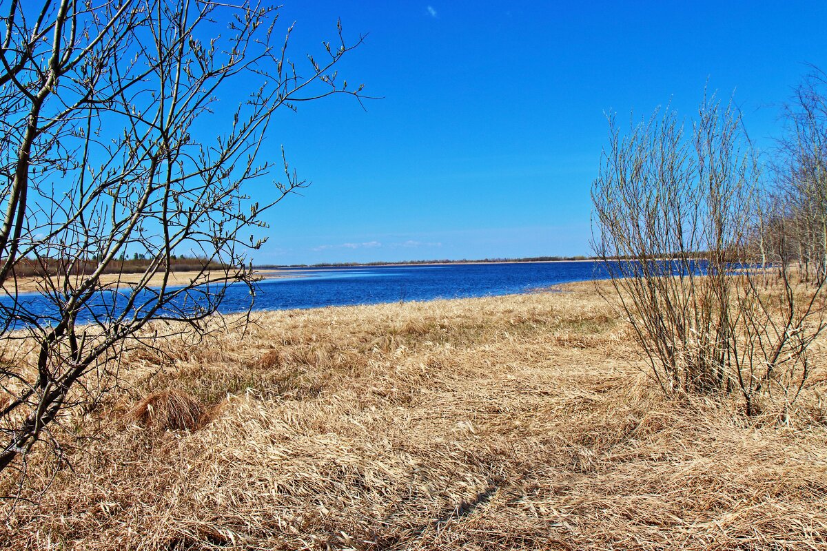 Май...Начало  весеннего разлива на Сыром Агане! - Владимир 