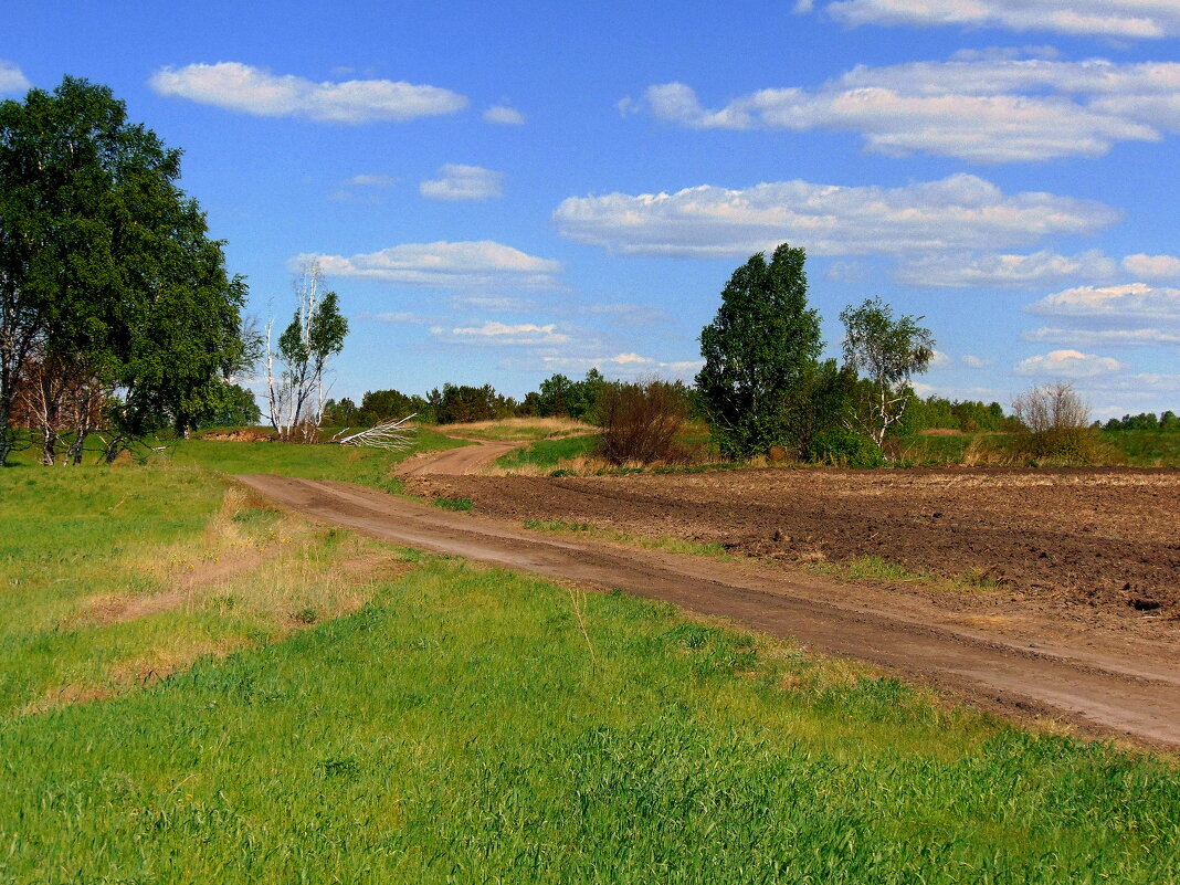 Родные места. - nadyasilyuk Вознюк