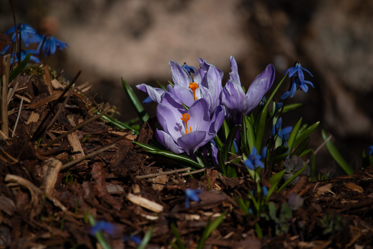*** - Геннадий Порохов