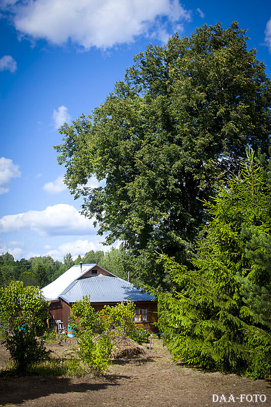 ДОМ ПОД СТАРОЙ КРЫШЕЙ. МЕСТО СИЛЫ. - Александр Дмитриев