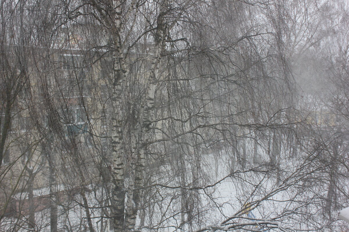 Весенняя метель - Alisia La DEMA