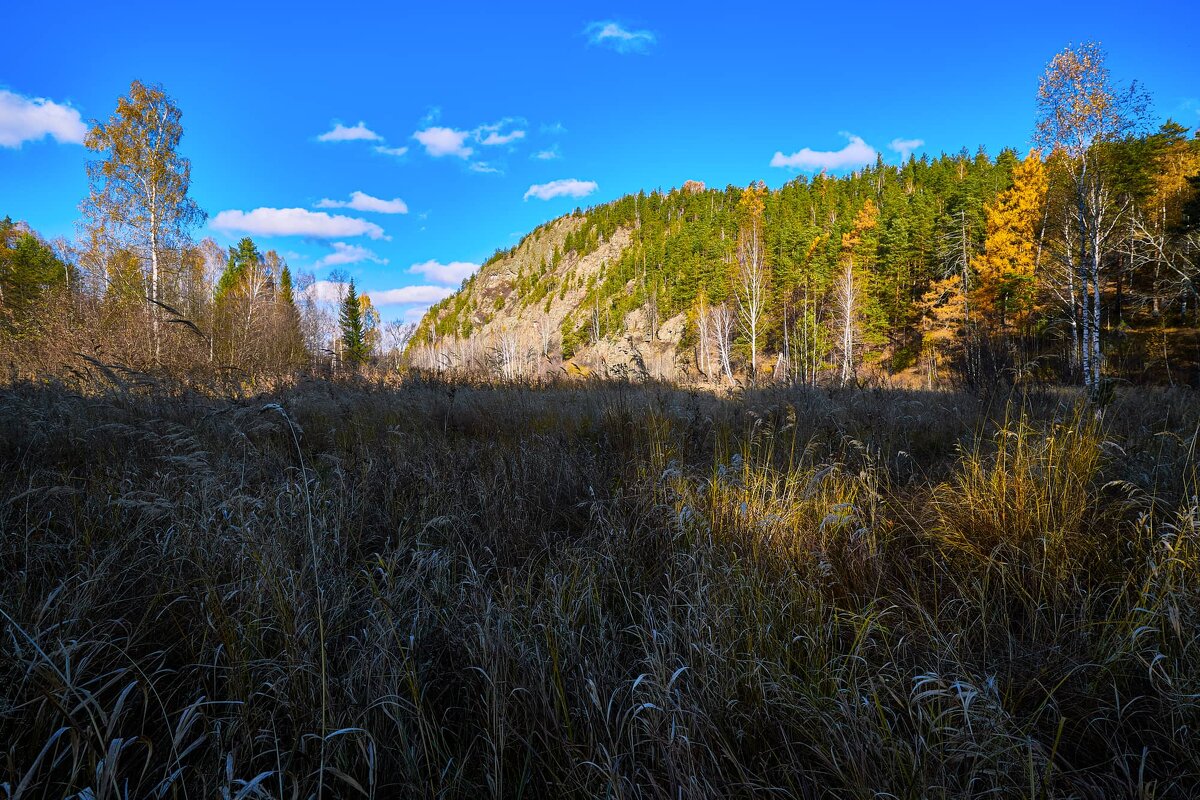 Утро солнечного октября 2. - Юрий кот