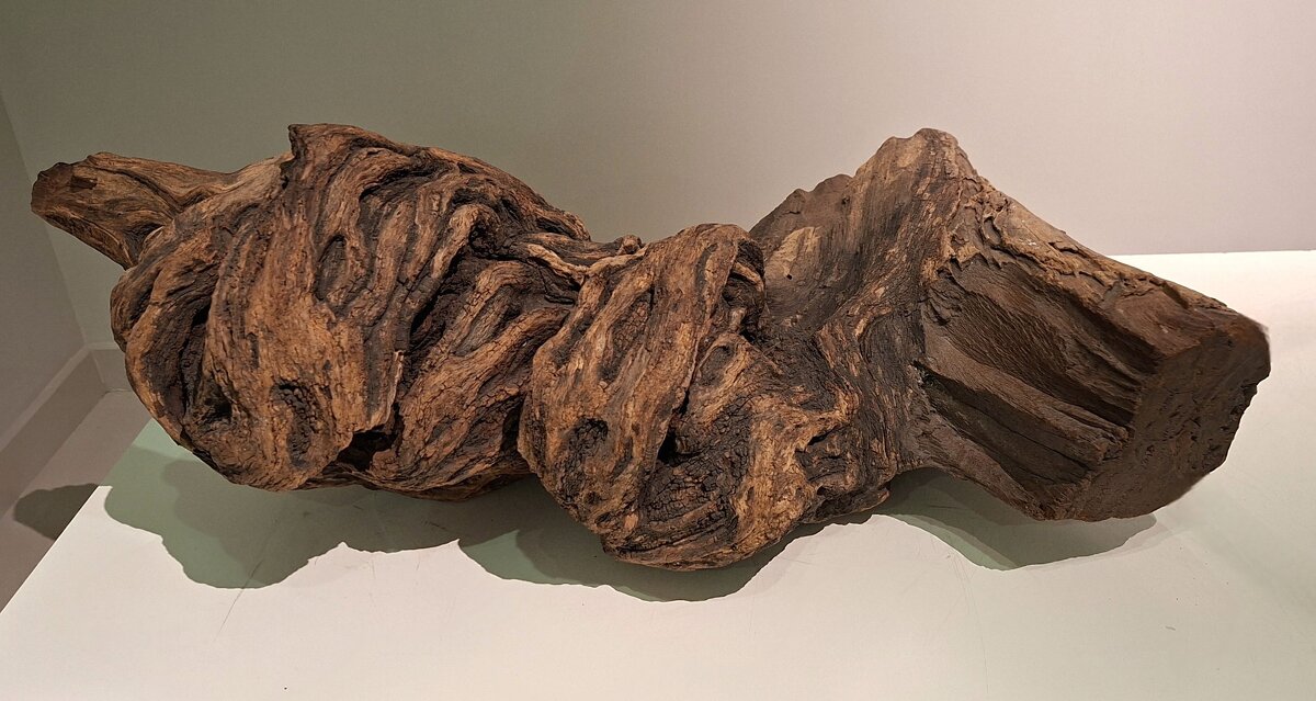 Образец дерева кебрачо. - ИРЭН@ .