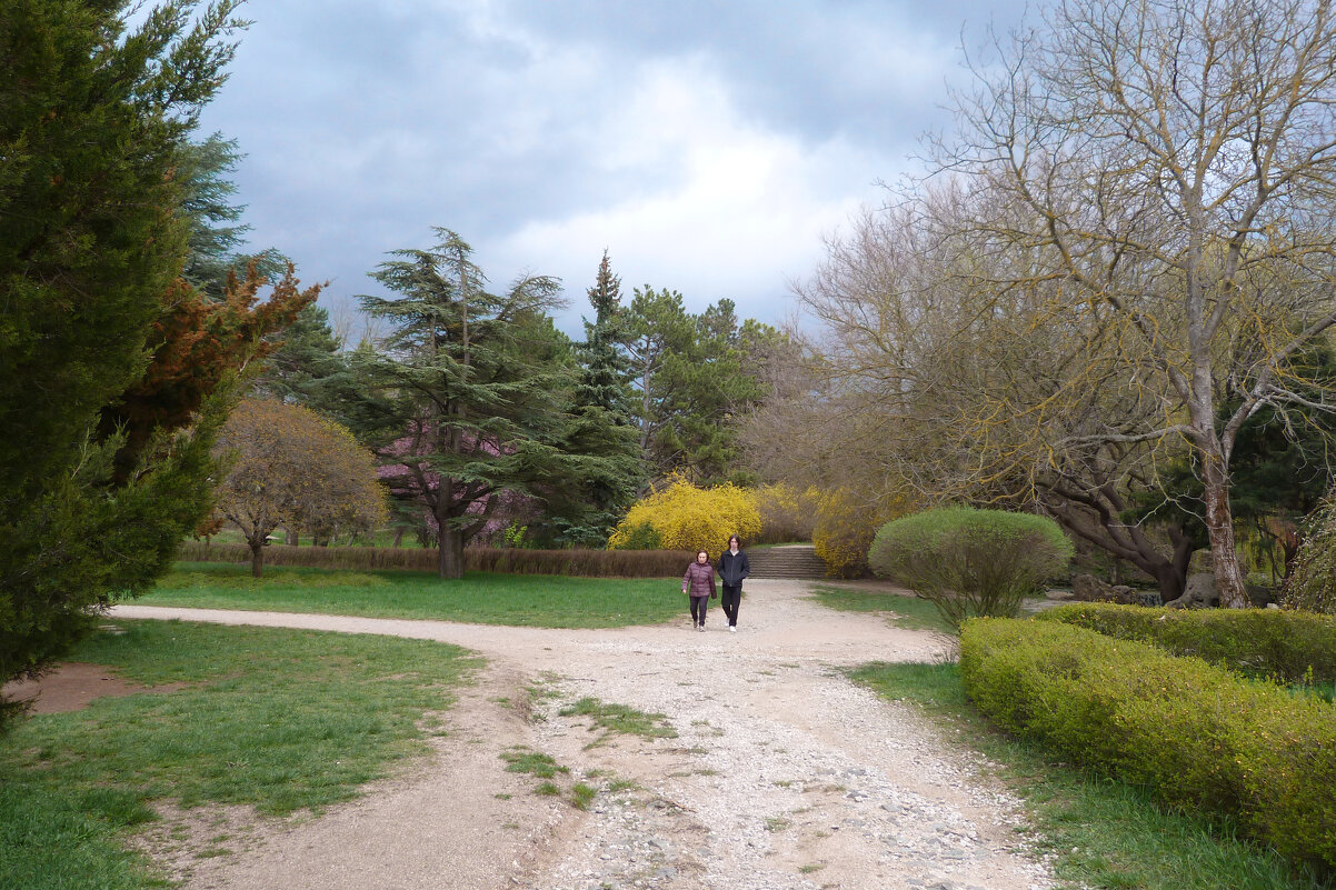 Весна в парке  Т Н У - Валентин Семчишин