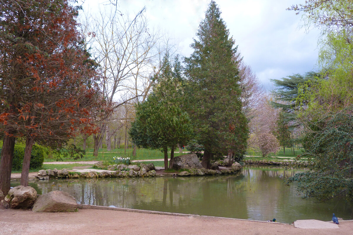 Весенний  пейзаж - Валентин Семчишин