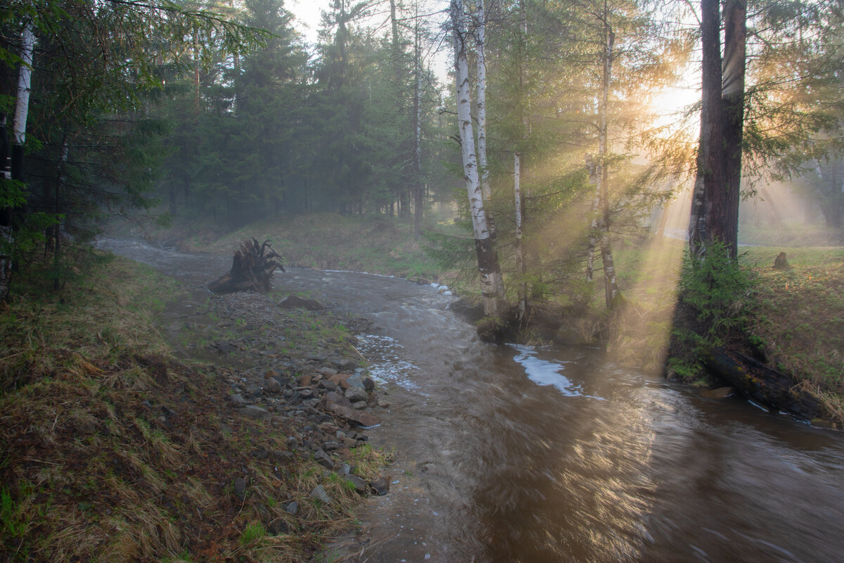 Вечерние лучи - Vladimbormotov 