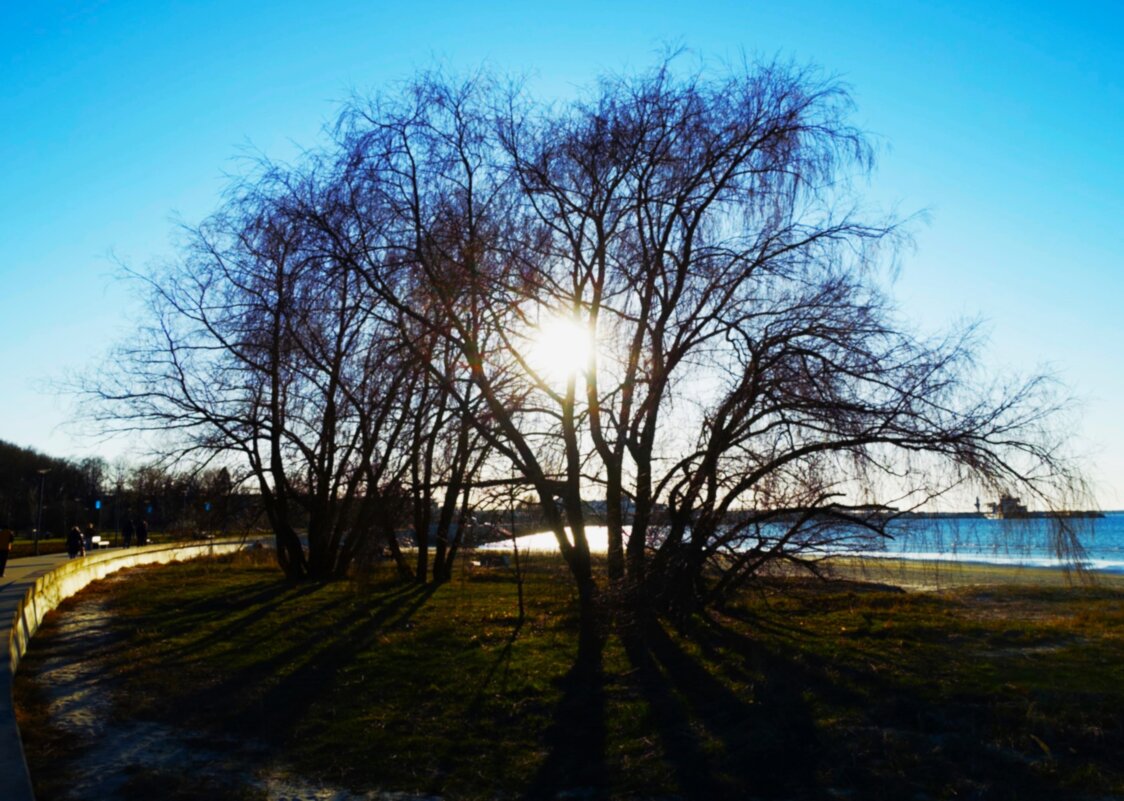 Яркое солнце апреля - Aida10 