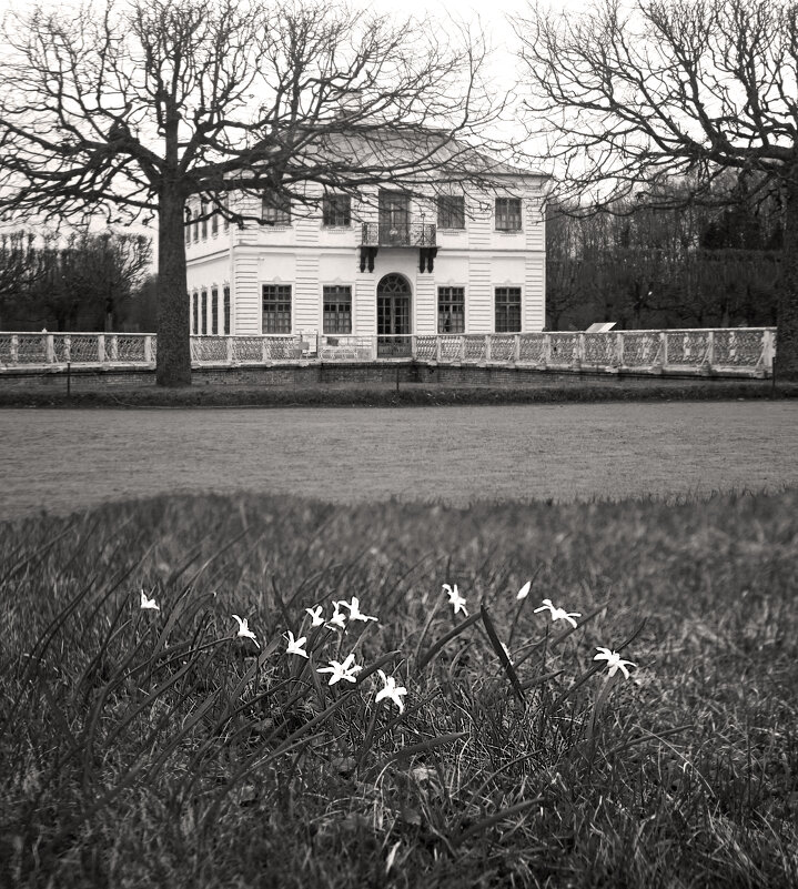 *** - Сергей Григорьев