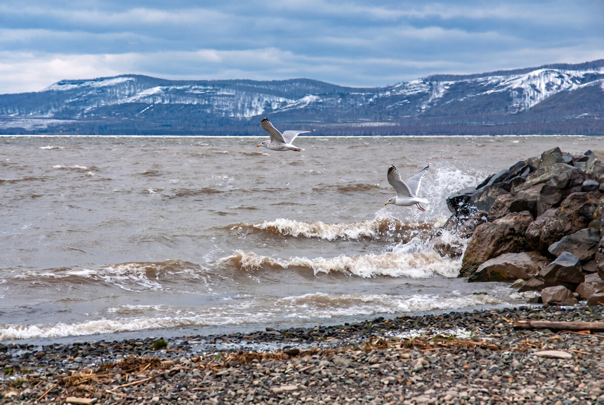 Весенний прибой - Алексей Мезенцев
