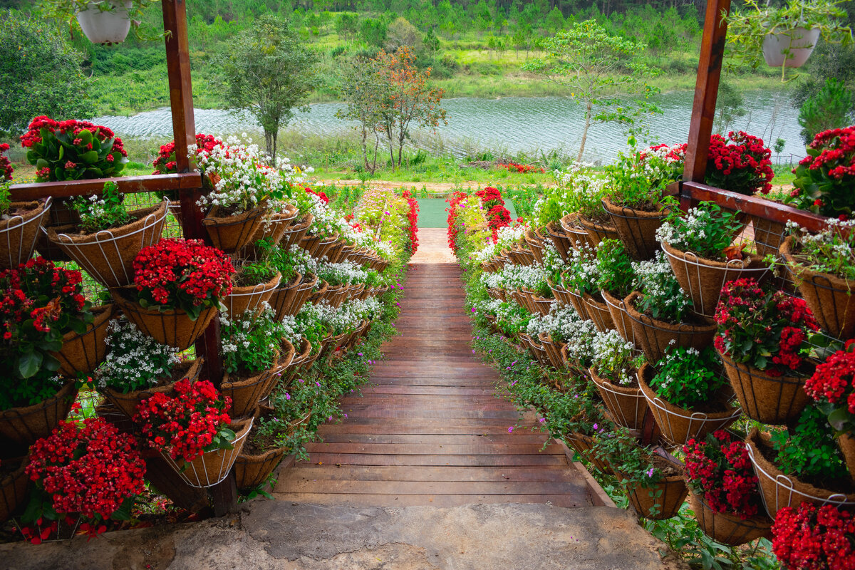 *** - Николай Чекалин