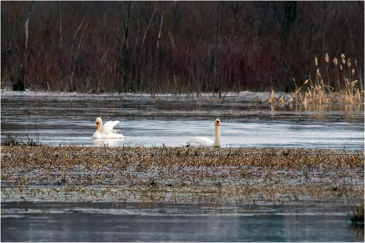Вспоминая дни на Сандаловке - Валентин Котляров