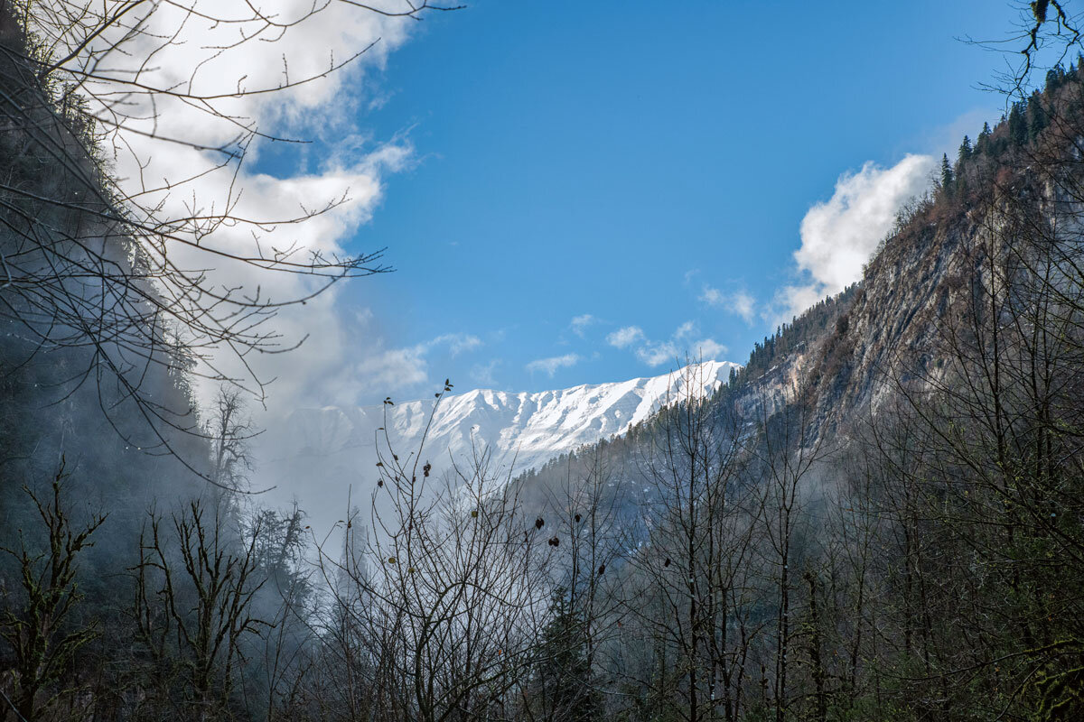Юпшарский каньон. Абхазия. - Дина Евсеева
