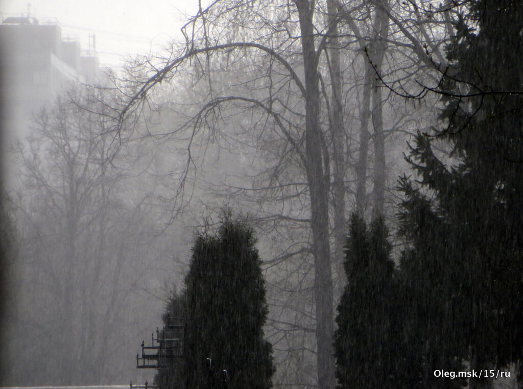 туман-дождик - Олег Лукьянов