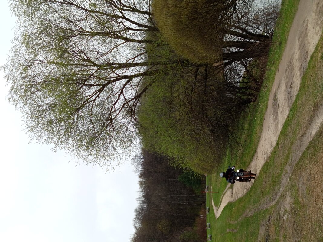 Апрель как он есть - Андрей Лукьянов