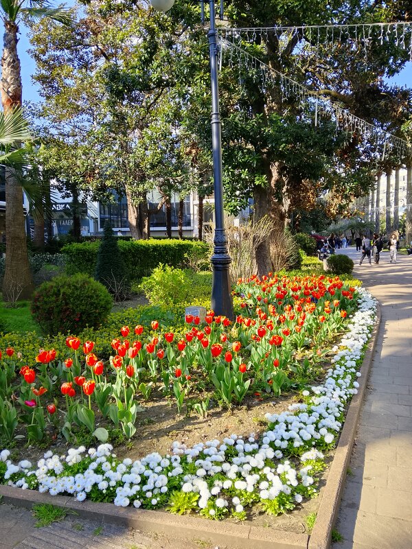 ул.Навагинская - Tata Wolf