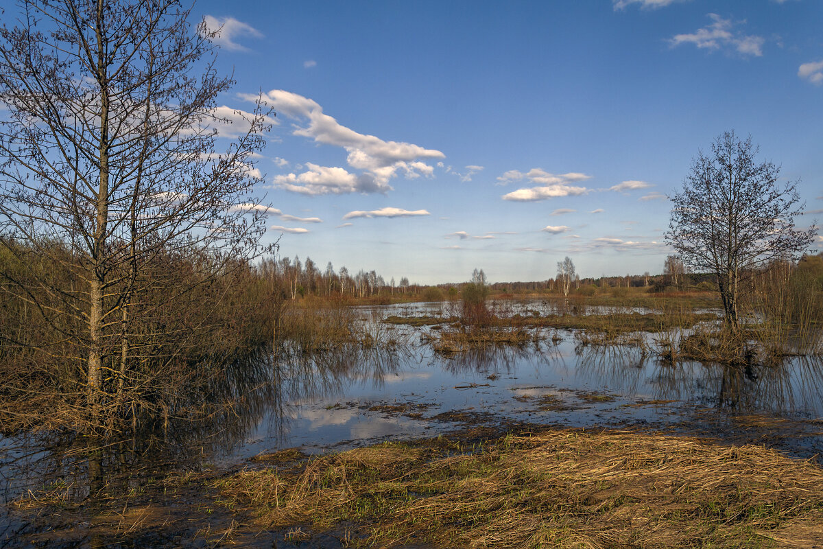 В пойме Клязьмы - Сергей Цветков