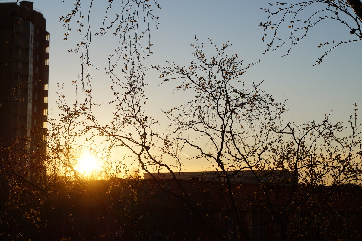 Солнце встает - Anna-Sabina Anna-Sabina