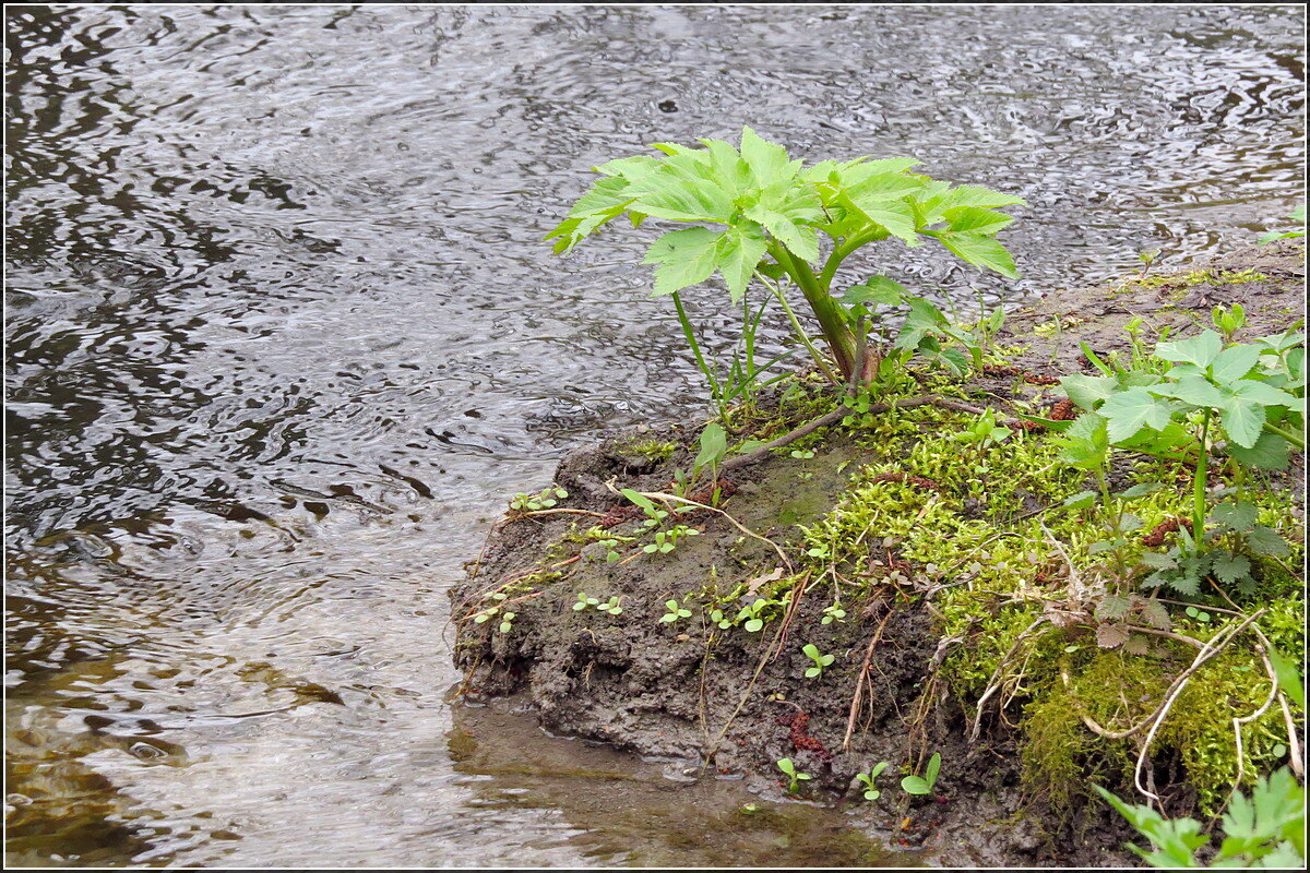 Мини утёс - Сеня Белгородский